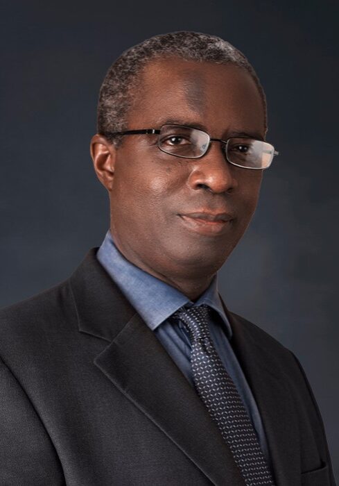 Professor Gbolahan Elias SAN Professor Gbolahan Elias SAN